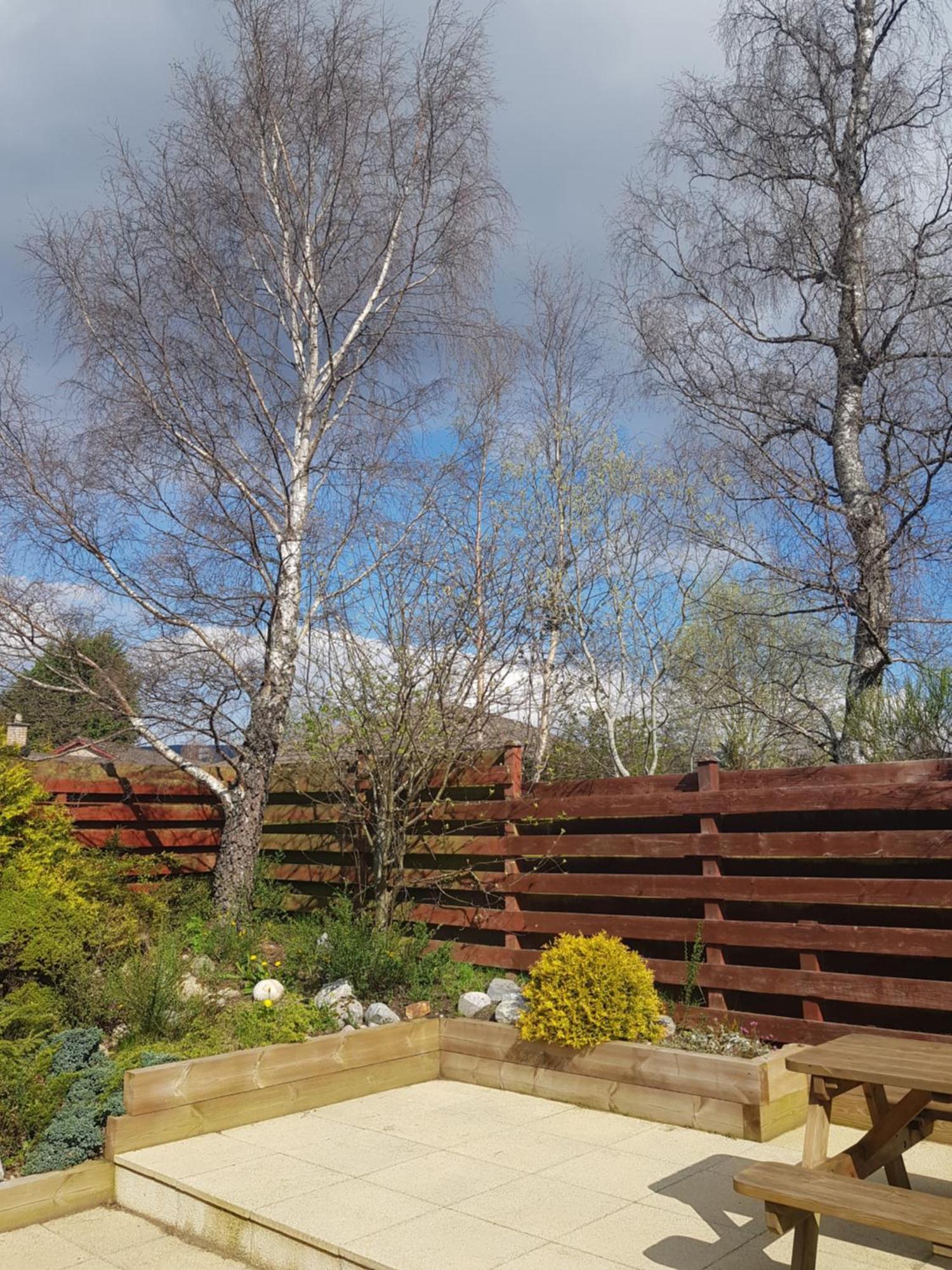 Orange Squirrel Lodge Aviemore Exteriör bild