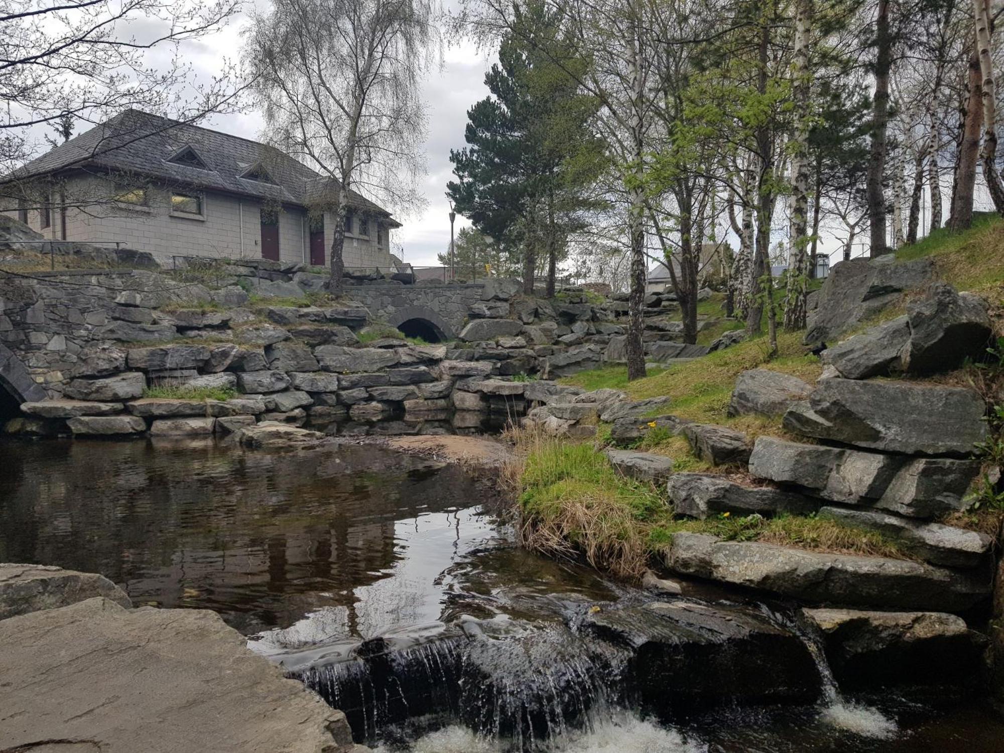 Orange Squirrel Lodge Aviemore Exteriör bild